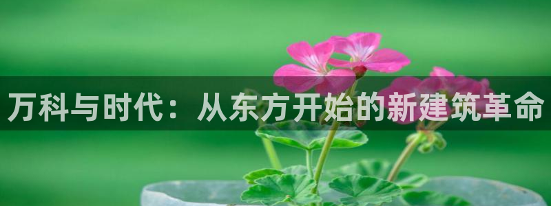 新宝5 唯一：万科与时代：从东方开始的新建筑革命