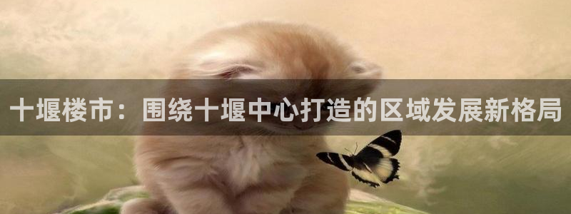 新宝5开户：十堰楼市：围绕十堰中心打造的区域发展新格局