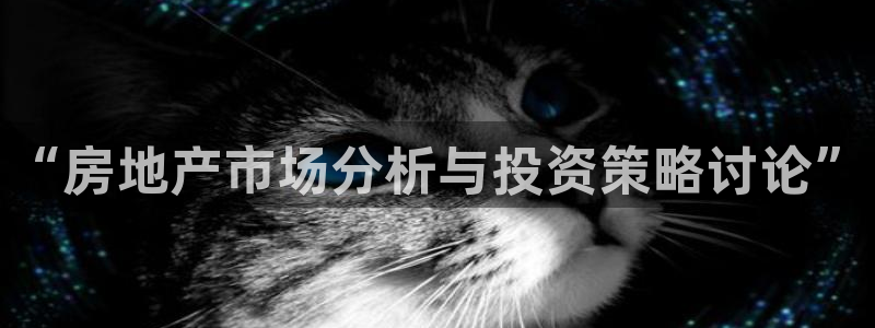 新宝5平台注册资金：“房地产市场分析与投资策略讨论”
