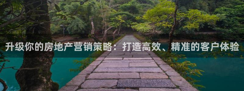 新宝5卫74OOO5：升级你的房地产营销策略：打造高效、精准