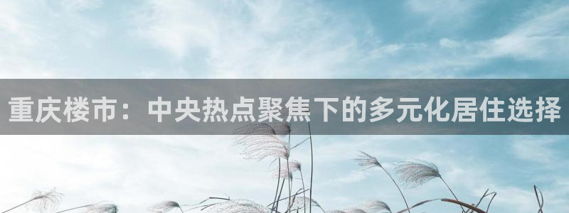 新宝5是谁：重庆楼市：中央热点聚焦下的多元化居住选择