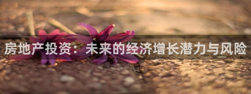 新宝5平台：房地产投资：未来的经济增长潜力与风险