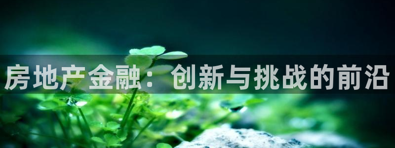 新宝5玩法：房地产金融：创新与挑战的前沿