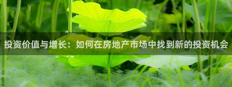 新宝5找找74OOO5：投资价值与增长：如何在房地产市场中找