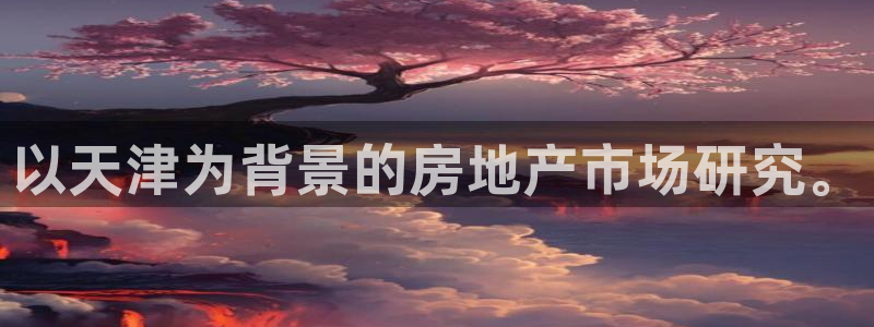 i新宝5：以天津为背景的房地产市场研究。