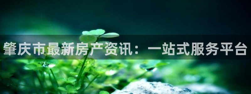 新宝5月：肇庆市最新房产资讯：一站式服务平台