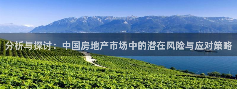 新宝5登录界面：分析与探讨：中国房地产市场中的潜在风险与应对