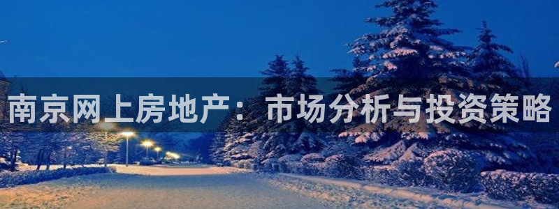 新宝5app手机下载：南京网上房地产：市场分析与投资策略