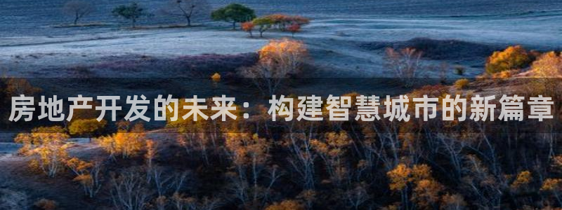 新宝5吴74OOO5：房地产开发的未来：构建智慧城市的新篇章