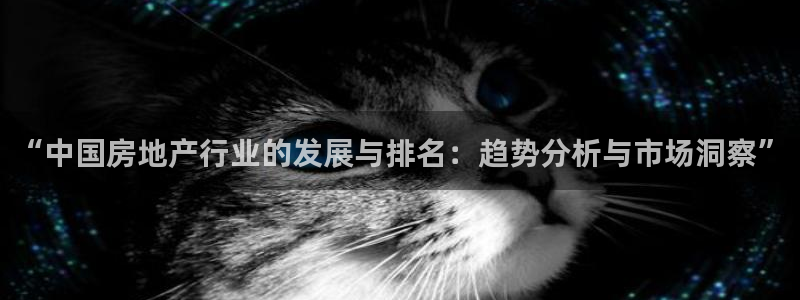 新宝5内部：“中国房地产行业的发展与排名：趋势分析与市场洞察
