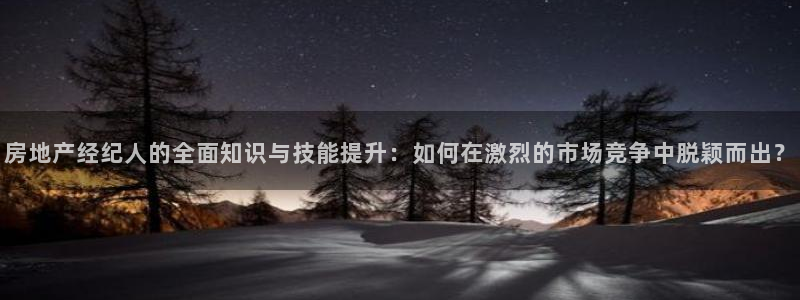 新宝5郑74OOO5：房地产经纪人的全面知识与技能提升：如何