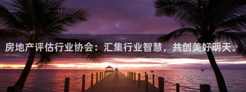 新宝5登陆地址：房地产评估行业协会：汇集行业智慧，共创美好明