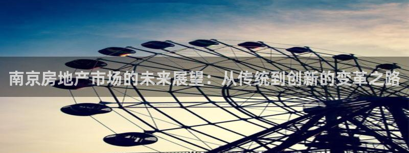 新宝速5：南京房地产市场的未来展望：从传统到创新的变革之路