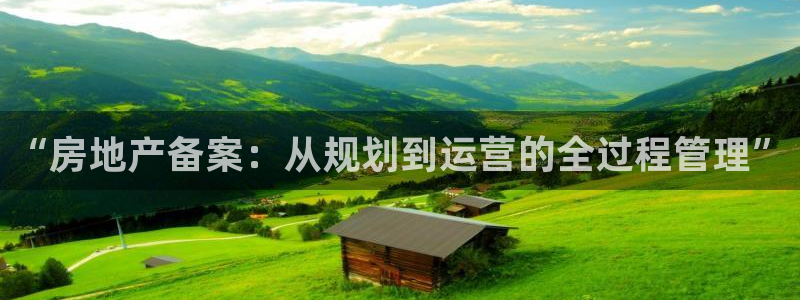 新宝5注册：“房地产备案：从规划到运营的全过程管理”