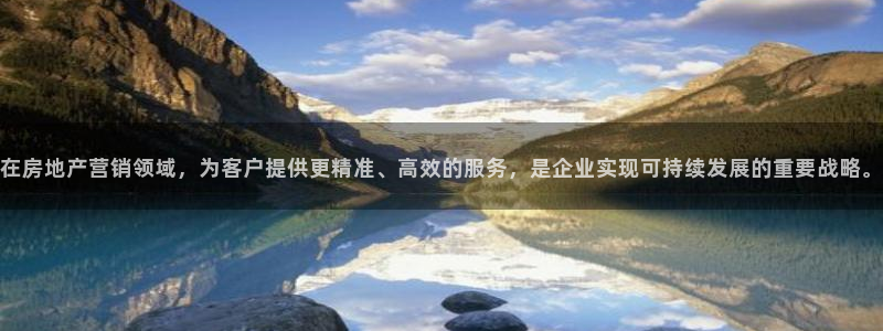 新宝5电脑登录网址：在房地产营销领域，为客户提供更精准、高效