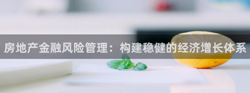新宝5娱乐登陆：房地产金融风险管理：构建稳健的经济增长体系