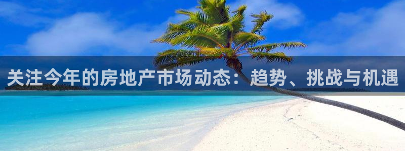新宝5软件下载