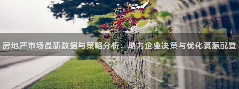新宝5手机测速：房地产市场最新数据与策略分析：助力企业决策与