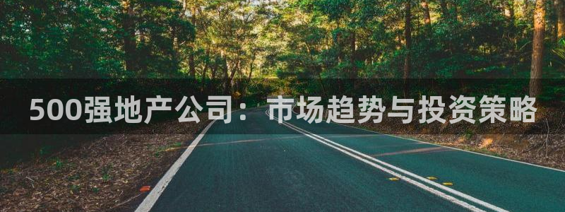 新5宝