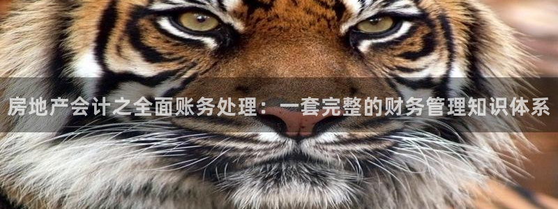 新宝5手机版登录：房地产会计之全面账务处理：一套完整的财务管