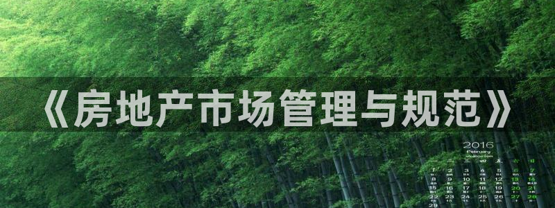 菲律宾新宝5老板：《房地产市场管理与规范》