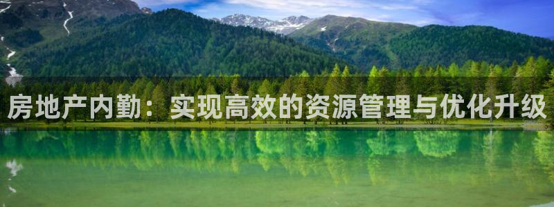 新宝5注册流程：房地产内勤：实现高效的资源管理与优化升级