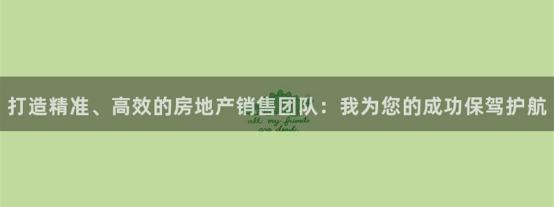 新宝xb5：打造精准、高效的房地产销售团队：我为您的成功保驾