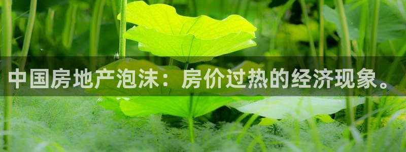 新宝5授权：中国房地产泡沫：房价过热的经济现象。