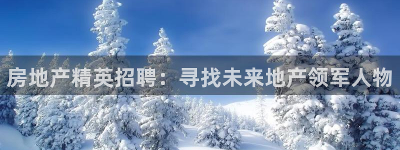 新宝5手机下载：房地产精英招聘：寻找未来地产领军人物