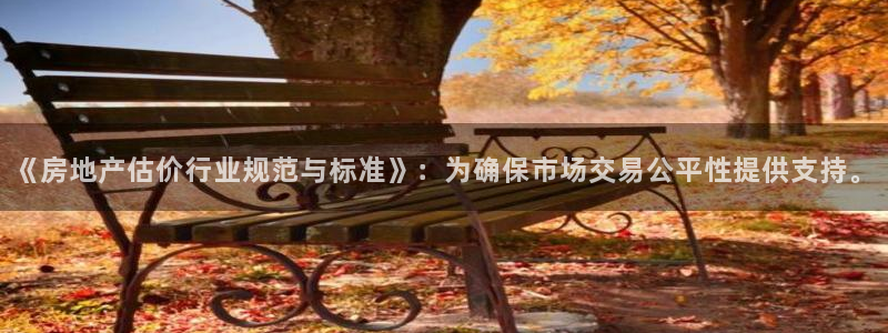 新5宝：《房地产估价行业规范与标准》：为确保市场交易公平性提