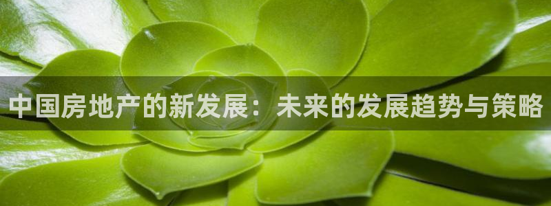 新宝5平台注册：中国房地产的新发展：未来的发展趋势与策略