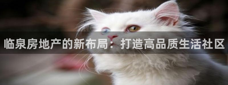 新宝5娱乐代理：临泉房地产的新布局：打造高品质生活社区
