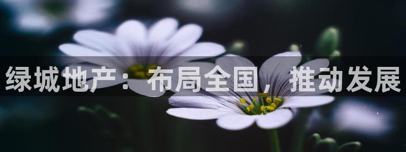 新宝奇迹GG5：绿城地产：布局全国，推动发展