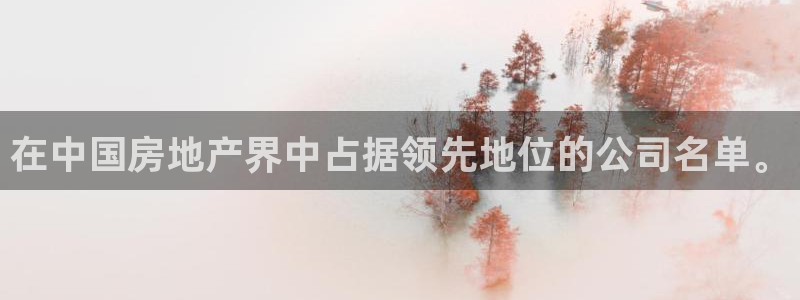 新宝5天：在中国房地产界中占据领先地位的公司名单。