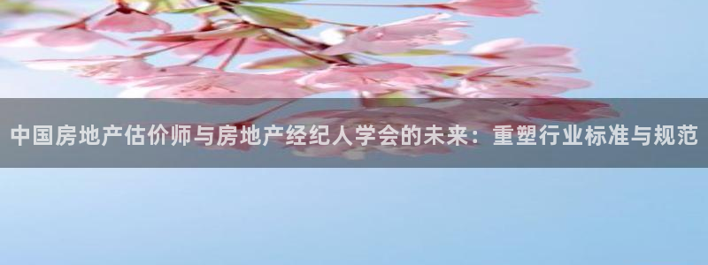 新宝5周74OOO5：中国房地产估价师与房地产经纪人学会的未