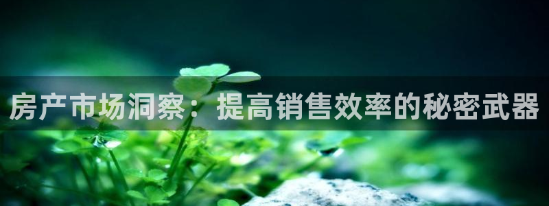 新宝5直属：房产市场洞察：提高销售效率的秘密武器