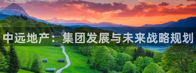 新宝5总代：中远地产：集团发展与未来战略规划