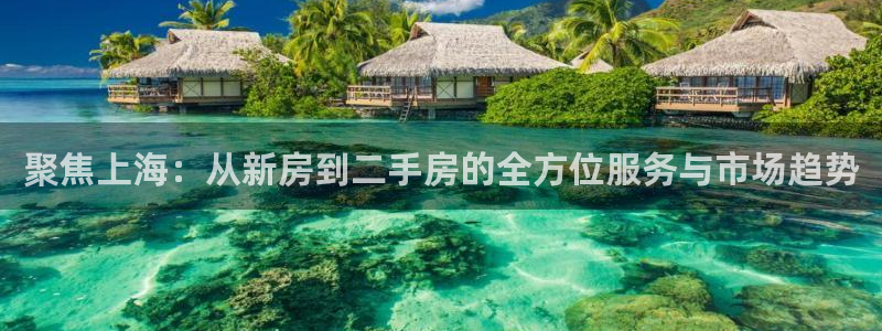 新宝5线路登录：聚焦上海：从新房到二手房的全方位服务与市场趋