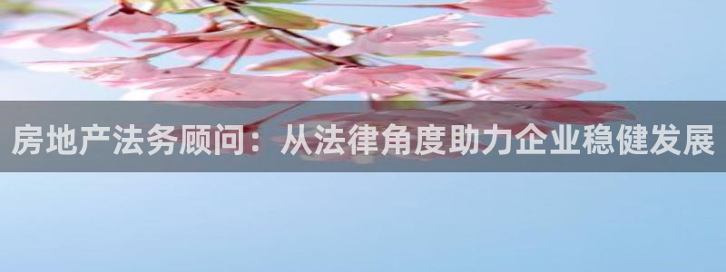新宝5如何注册登录：房地产法务顾问：从法律角度助力企业稳健发