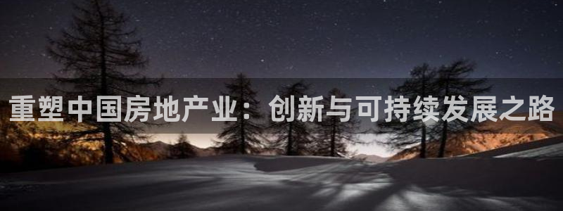 新宝5电脑登录网址：重塑中国房地产业：创新与可持续发展之路