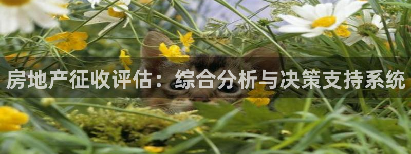 新宝5注册霸：房地产征收评估：综合分析与决策支持系统