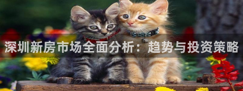 新宝5地址：深圳新房市场全面分析：趋势与投资策略