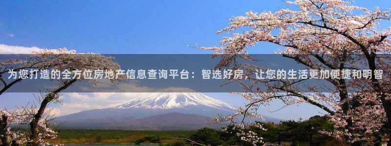 新宝5现在还能玩吗：为您打造的全方位房地产信息查询平台：智选