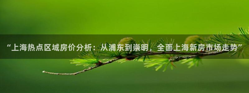 新宝5 代理：“上海热点区域房价分析：从浦东到崇明，全面上海