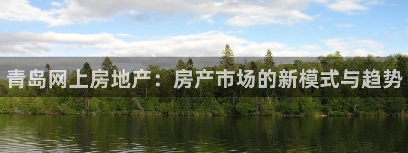 新宝G5：青岛网上房地产：房产市场的新模式与趋势