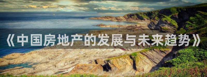 新宝5 注册：《中国房地产的发展与未来趋势》