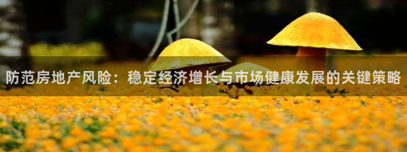 新宝5骗术：防范房地产风险：稳定经济增长与市场健康发展的关键