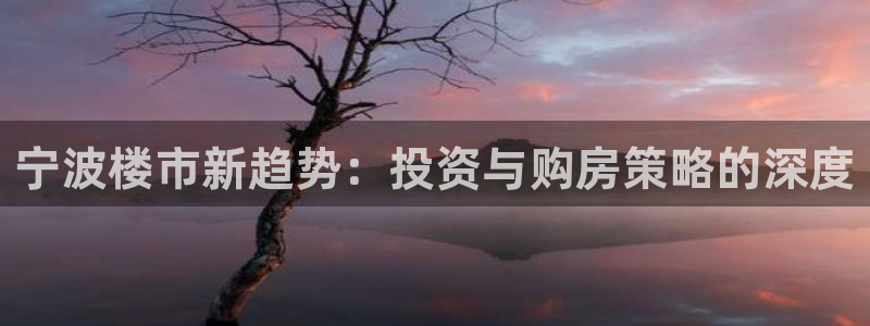 新宝5蒋7O667：宁波楼市新趋势：投资与购房策略的深度