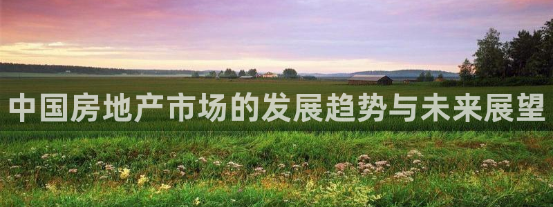新宝股东瞧听2 5 5：中国房地产市场的发展趋势与未来展望