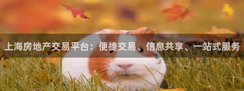 新宝5电脑登录网址：上海房地产交易平台：便捷交易、信息共享、